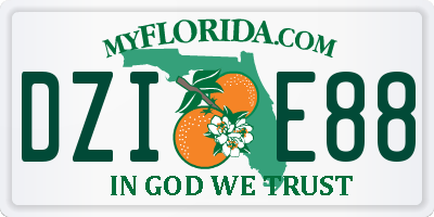FL license plate DZIE88