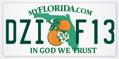 FL license plate DZIF13