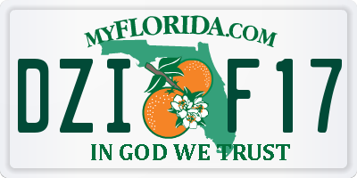 FL license plate DZIF17