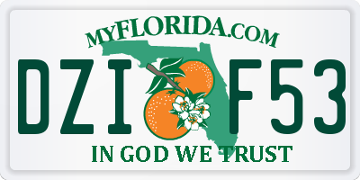 FL license plate DZIF53