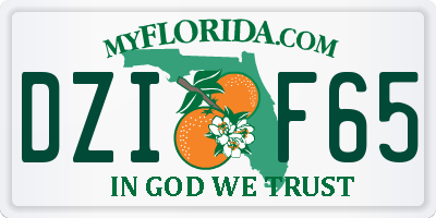 FL license plate DZIF65