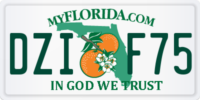FL license plate DZIF75