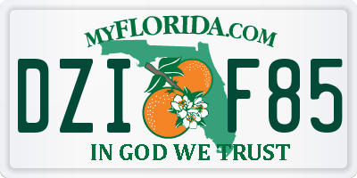 FL license plate DZIF85