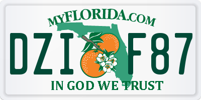FL license plate DZIF87