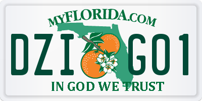 FL license plate DZIG01
