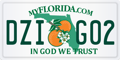 FL license plate DZIG02