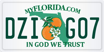 FL license plate DZIG07