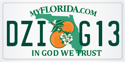 FL license plate DZIG13