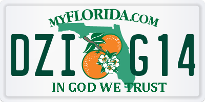 FL license plate DZIG14