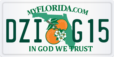FL license plate DZIG15