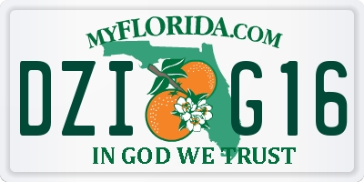 FL license plate DZIG16