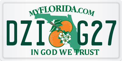 FL license plate DZIG27