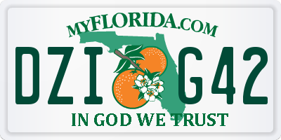 FL license plate DZIG42