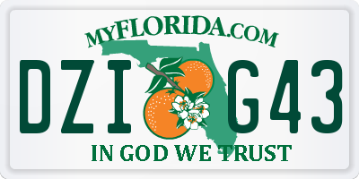FL license plate DZIG43