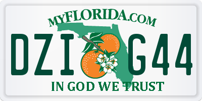 FL license plate DZIG44