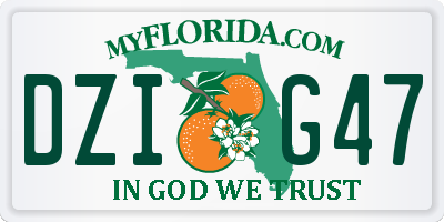 FL license plate DZIG47