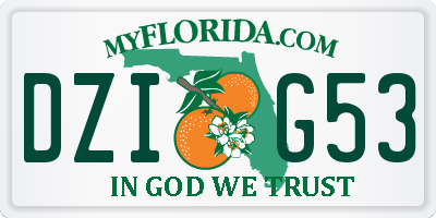 FL license plate DZIG53