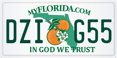 FL license plate DZIG55