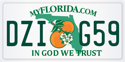 FL license plate DZIG59
