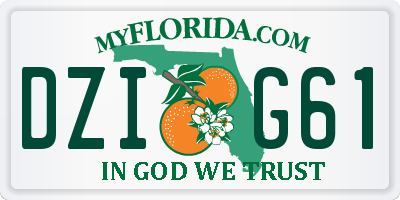 FL license plate DZIG61