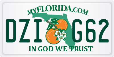 FL license plate DZIG62