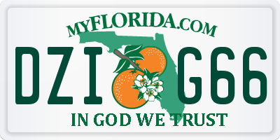 FL license plate DZIG66