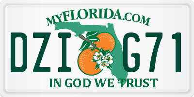 FL license plate DZIG71