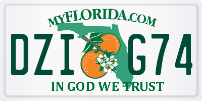 FL license plate DZIG74