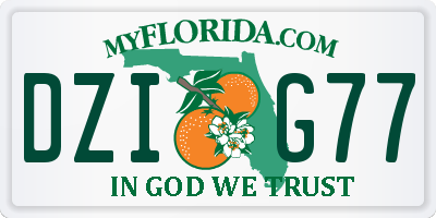 FL license plate DZIG77