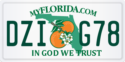 FL license plate DZIG78