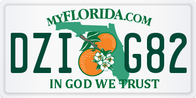 FL license plate DZIG82