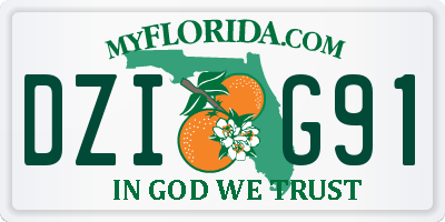FL license plate DZIG91