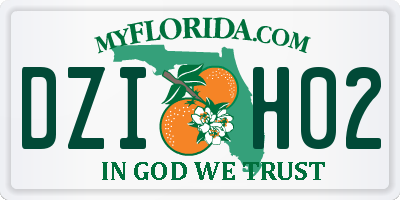 FL license plate DZIH02