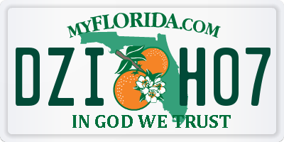 FL license plate DZIH07