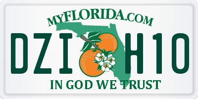 FL license plate DZIH10