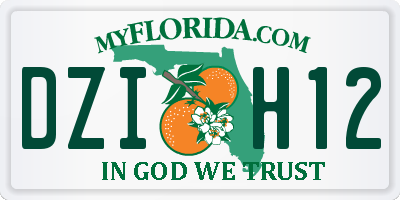 FL license plate DZIH12