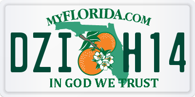 FL license plate DZIH14