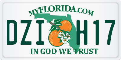 FL license plate DZIH17