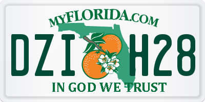 FL license plate DZIH28
