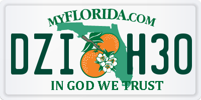 FL license plate DZIH30