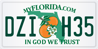 FL license plate DZIH35