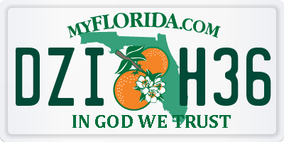 FL license plate DZIH36