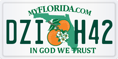 FL license plate DZIH42