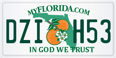 FL license plate DZIH53