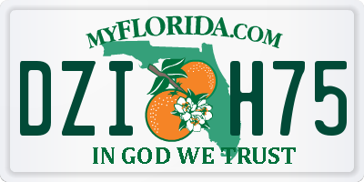 FL license plate DZIH75