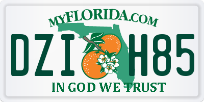 FL license plate DZIH85