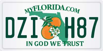 FL license plate DZIH87