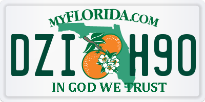 FL license plate DZIH90