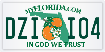 FL license plate DZII04