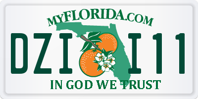 FL license plate DZII11